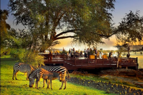 the sundeck with zebras in the foreground